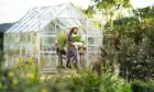 The weather protection offered by a greenhouse means gardening can continue through the winter months.