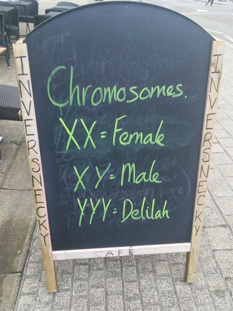 The sandwich board at the Inversnecky Cafe displays a daily gag.
