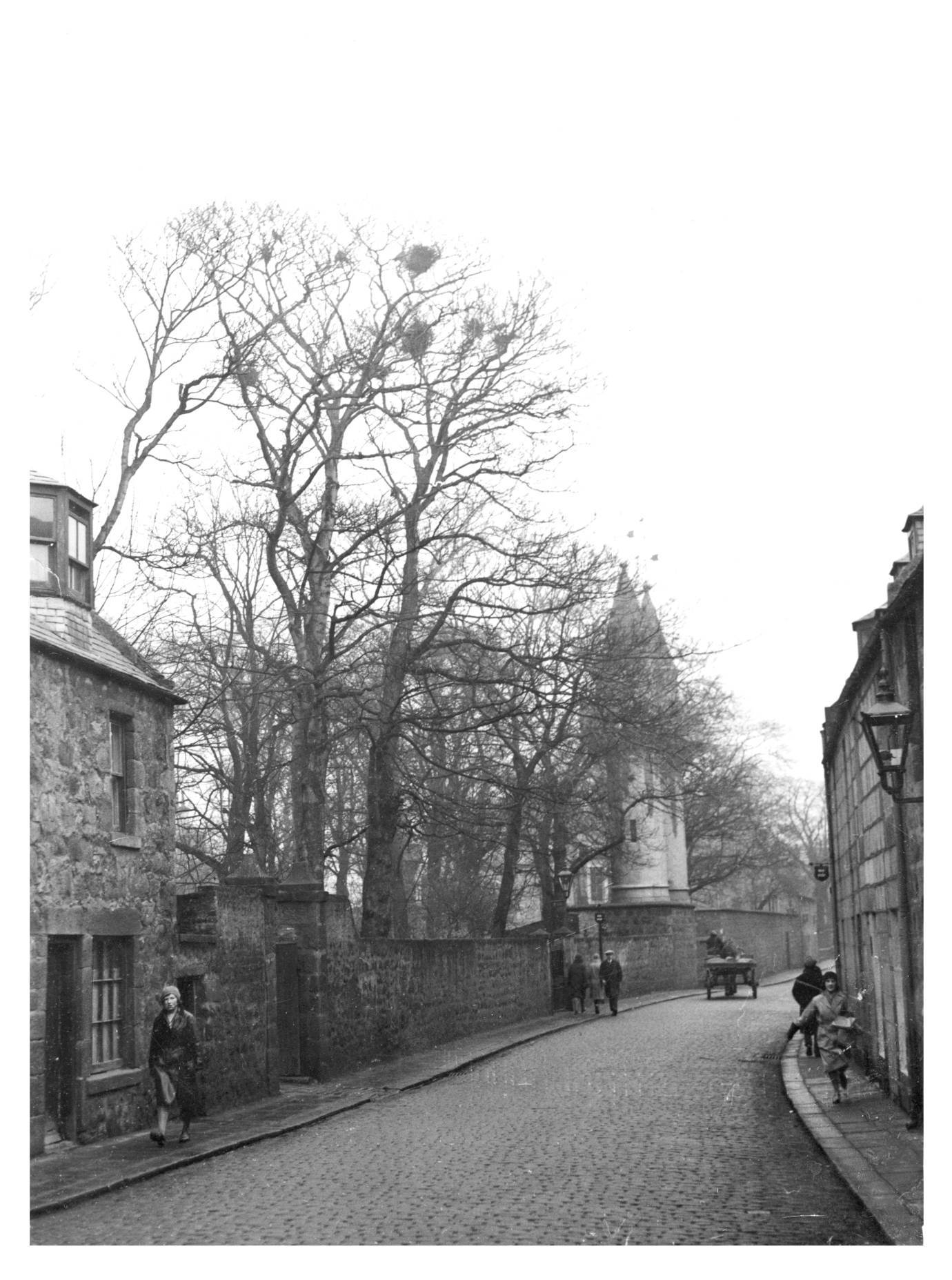 1930s: A pre-war picture of College Bounds shows not only the crows' nests in the trees but, in the distance, a horse and cart.