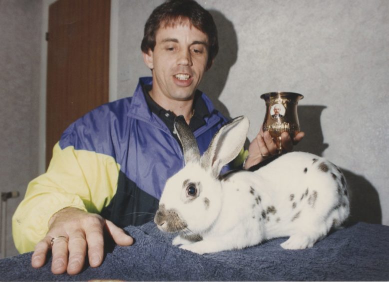 1991 - Gary Robertson (pictured)
North-east rabbit breeder and exhibitor Gary Robertson has become only the second Scot in 70 years to win the Scottish, English and Dutch Rabbit Club's coveted Gold Cup. And his prizewinning young buck gained the award after only two years of club competition. Some breeders have tried for decades to win the cup but success depends on entering a rabbit with markings as close as possible to the definitive English butterfly smut pattern. Aberdeen born Gary (37) is pool supervisor at Ellon and lives in the town's Modley Avenue. He won the Gold Cup at the recent National English Rabbit Show at Thirsk, Yorkshire. And the big success came only weeks after the same rabbit won another major award - to keep it in the family. The buck bounced off with the Gary and Sheila Robertson Rosebowl as best in show for under five month stock at the Scottish championship show in Dunfermline."