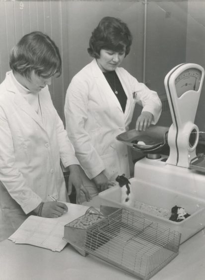 1968: Miss Lorraine Donaldson and Miss Christine Smith working in the lab at the Rowett Institute.