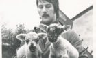 1979: At the Rowett Institute, the lambing season comes round rather more frequently than elsewhere. Two of the latest arrivals are displayed by Duncan McPherson.