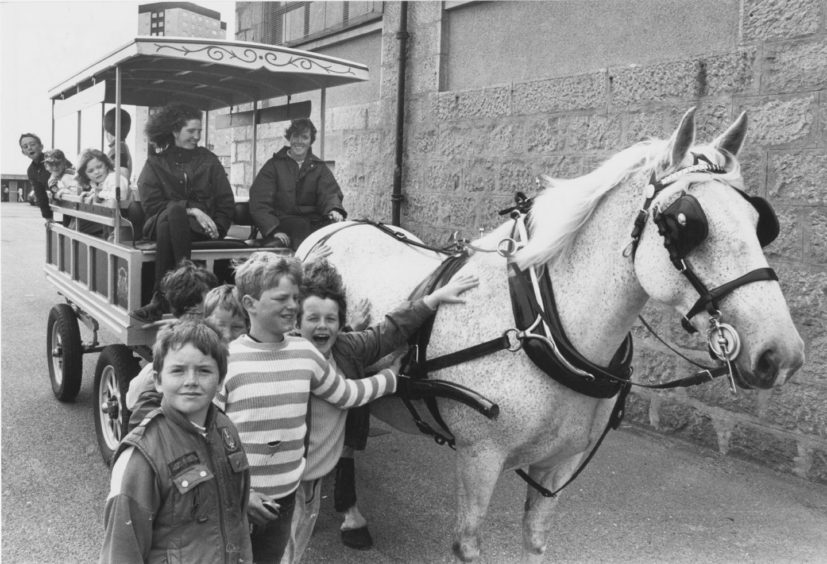 1987 - Proving a big hit with these youngsters at Seaton Community Festival on Saturday is June, the Irish cob. She was taken to the local school by Belinda Clark and Susan Gilbert of Aberdeen City District Council's leisure and recreation to provide carriage rides.