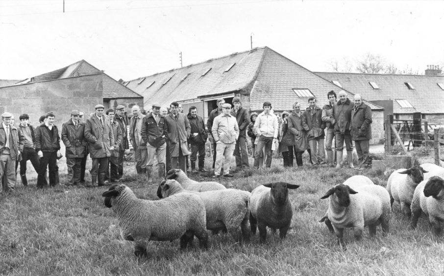 1983: Members of the North-east of Scotland Suffolk Sheep Club this week paid a visit to Mr Sandy Campbells Kirkton flock at Kinellar, near Aberdeen. They are pictured inspecting the ram lambs destined for the Edinburgh sale in July.