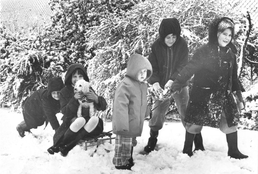 1977: Stockethill children have fun in the snow. They are Karen Craig (7), Deborah Desbois (7), Shirley Craig (2), Michael Craig, and Stacy Stephen (7), all of Stockethill Crescent, Aberdeen.