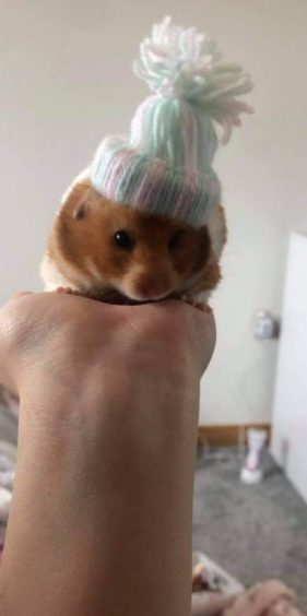Stevie lives with her mum Cara Wilken in Fraserburgh. Cara made Stevie’s hat in school and Stevie loves it... and you can see why. It’s so cute!