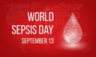 On World Sepsis Day, we look at the key symptoms of blood poisoning.