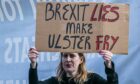 An anti-Brexit protester holds a placard in the wake of recent sectarian violence in Northern Ireland (Photo: Amer Ghazzal/Shutterstock)