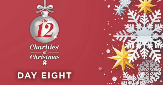 12 Charities of Christmas – Green & Bee