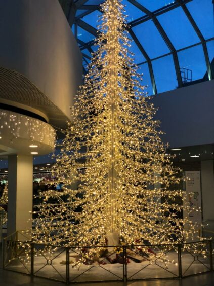 Bon Accord's Christmas tree is Instagrammable