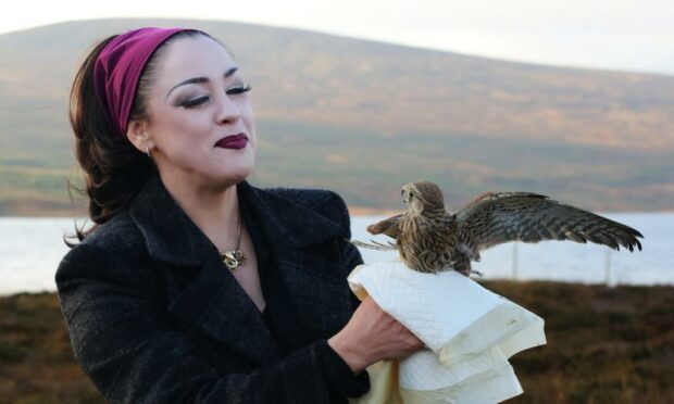 Lady Hadassah of Blue Highlands bird rescue centre releasing Amber the kestrel back into the wild. Image: Blue Highlands
