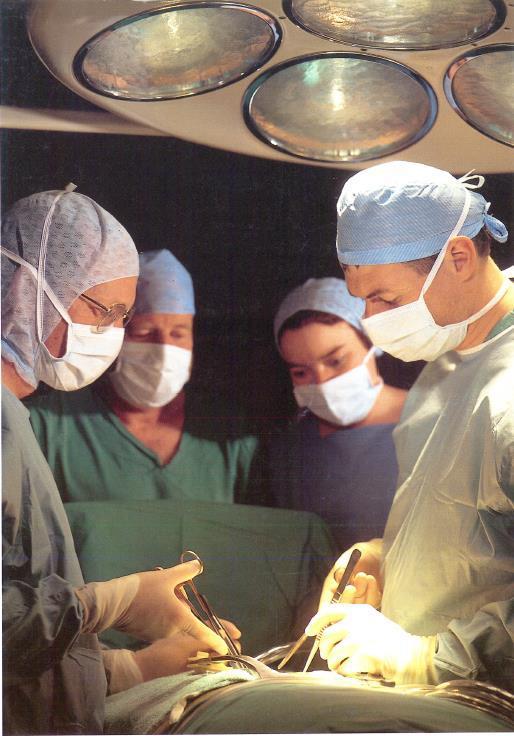 Senior charge nurse/ theatre co-ordinator Hazel Colquhoun, pictured during a transplant surgery.