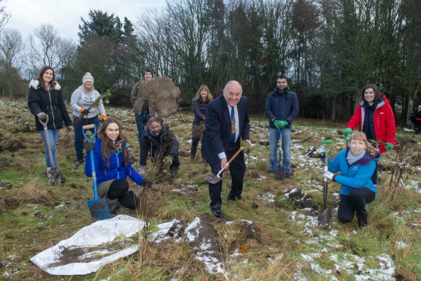 Thousands of new trees planted