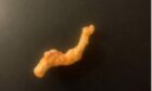 Cheeto in the 'shape' of the Loch Ness Monster for sale on Ebay