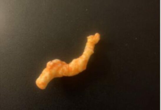 Cheeto in the 'shape' of the Loch Ness Monster for sale on Ebay