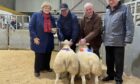 The overall prime lamb champions from Stainland and Sibmister Farms, with sponsors Nona Mackay, Stephen and Kenny Sutherland, and Murray Lamont, Mackays Hotel, Wick.
