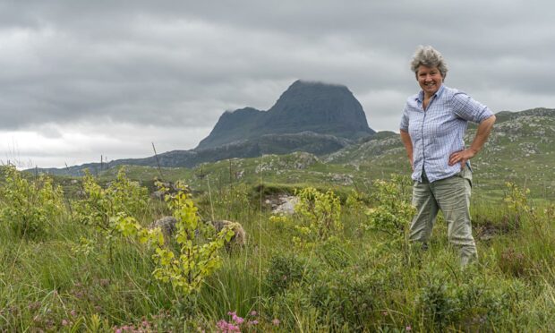 Assynt Foundation Chairwoman Claire Belshaw in new woodland at Glencanisp Estate.