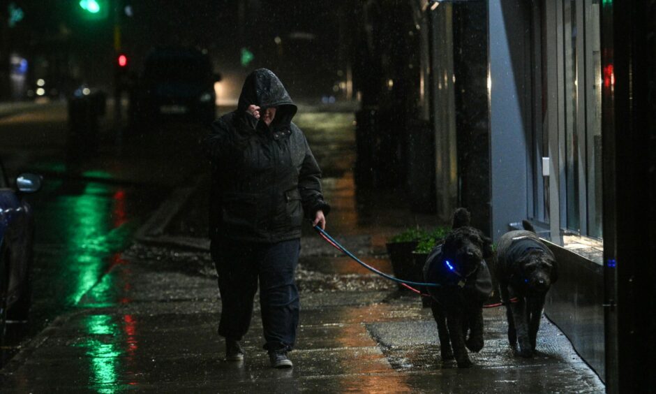 A woman walks her dogs in the rain