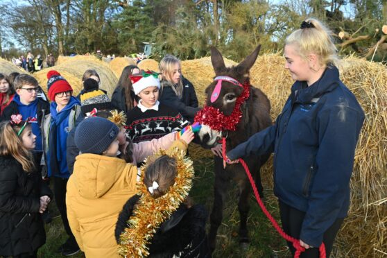 Pupils loved petting Dora the donkey after their rendition of Little Donkey