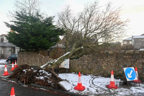 Storm Arwen wreaked havoc across Aberdeen.