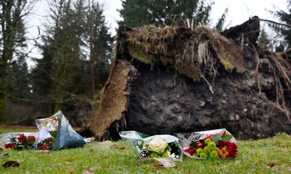 CR0032867 The Remembrance Garden at Aberdeen Crematorium has suffered damage with trees coming down in the recent Storm Arwen. Picture by Kami Thomson / DCT Media.