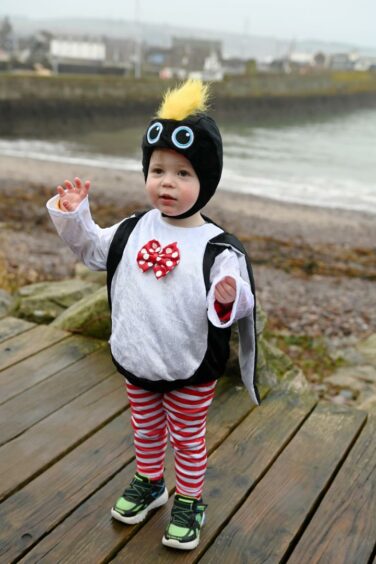 People took part in the penguin plunge to raise fund for Calico