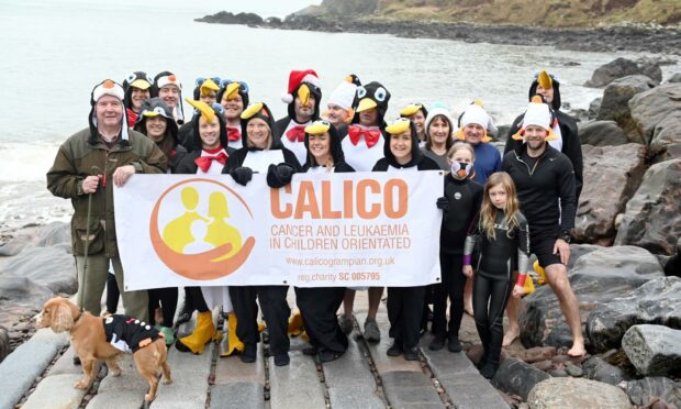 People took part in the penguin plunge to raise fund for Calico