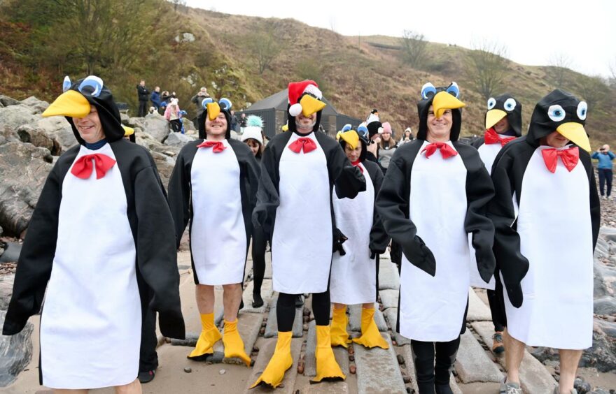 People took part in the penguin plunge to raise fund for Calico