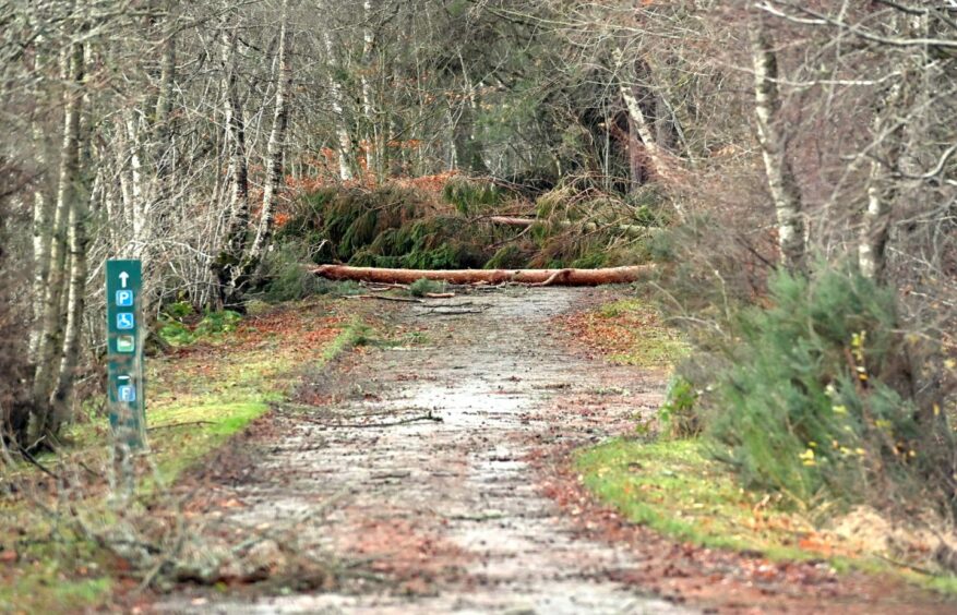 Paths blocked off at Bennachie last year