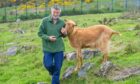 Graham Lennox has run Doonies Rare Breeds Farm since 1994.