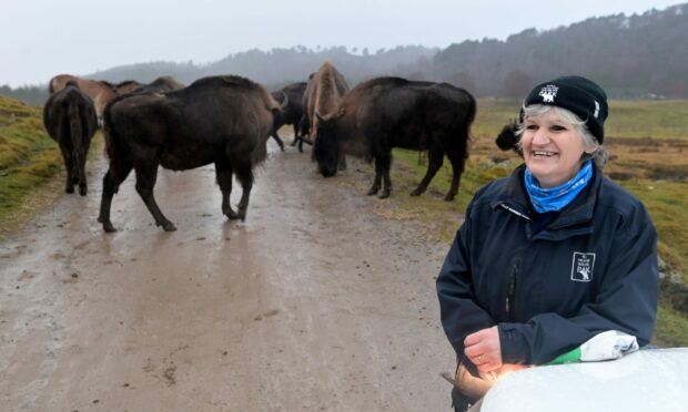 Morag Sellar is head of hoofstock and wolves at Highland Wildlife Park. Picture by Sandy McCook.