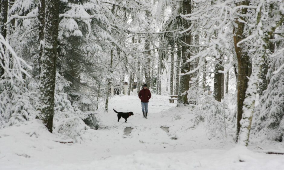 Five great walks in Inverness which are even betterin the snow.