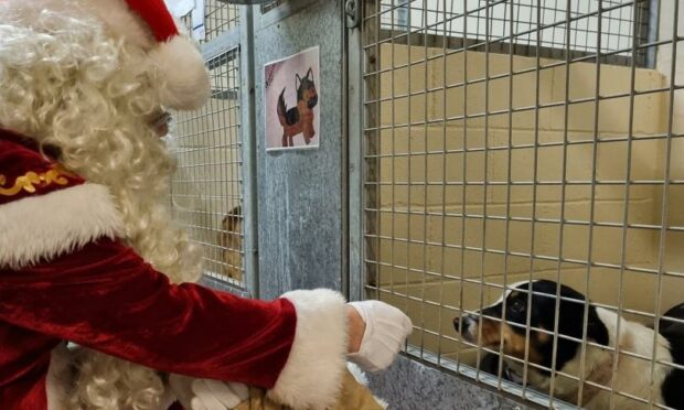 Santa meeting one of the residents at Mrs Murray's.