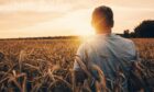 famer alone in field (young farmers mental health can suffer from being alone)