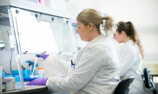 Lab work being undertaken by biotechnology firm 4D pharma in Aberdeen.