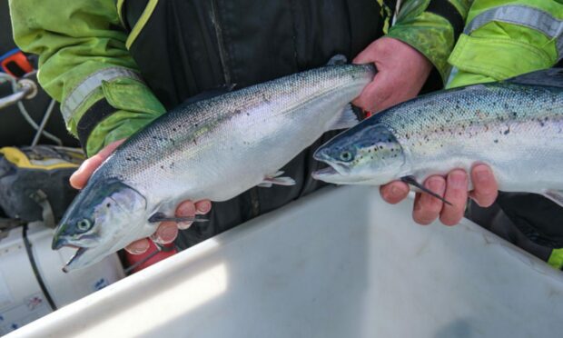 Scottish salmon sector has installed dozens of defibrillators across the north-west.