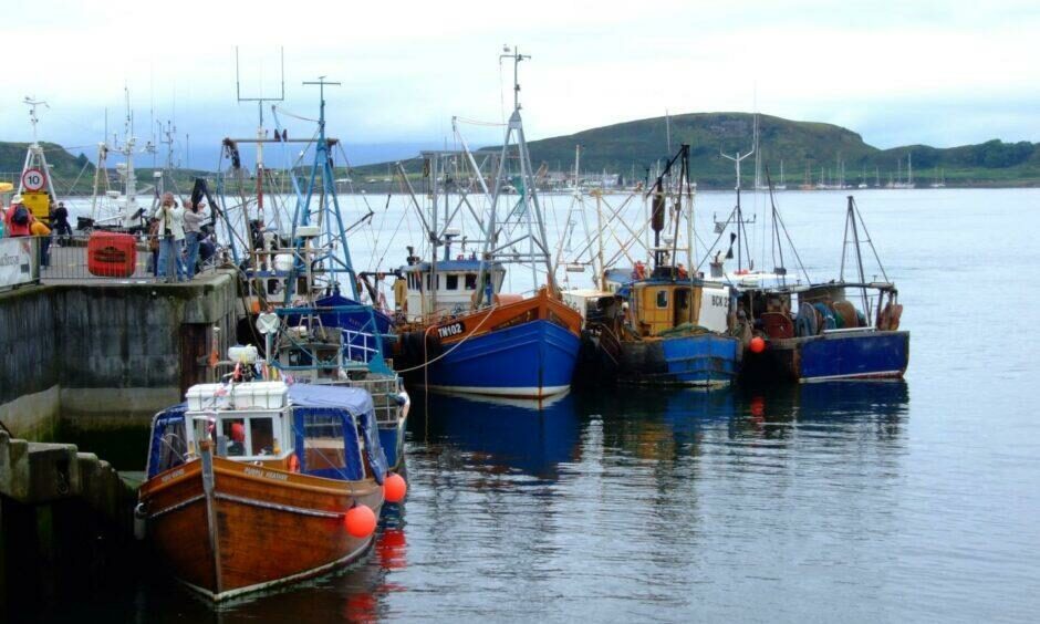 Ther is a 20-strong fishing fleet in Oban Bay. 