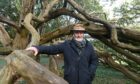 Alan Cameron believes trees such as the ancient yew trees at Ellon Castle Gardens have the power to inspire.