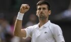 Novak Djokovic endured a lot of abuse from spectators at Wimbledon, but still won.
