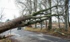 Trees and power lines were brought down during Storms Malik and Corrie causing disruption across the north-east.