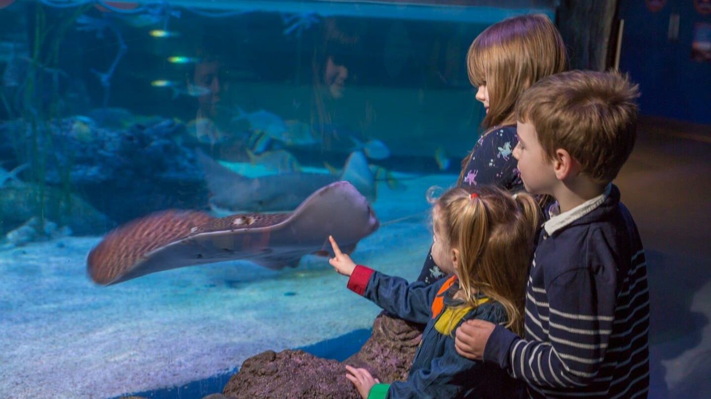 small children in aquarium on an Easter breaks