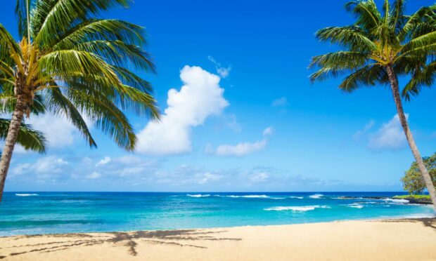 Moments to remember: A tropical rainstorm can transform an idyllic Hawaii beach in an instant.