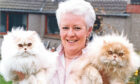 1991 - Maureen Ross with her award-winning cats Angus, left, and Brandy.