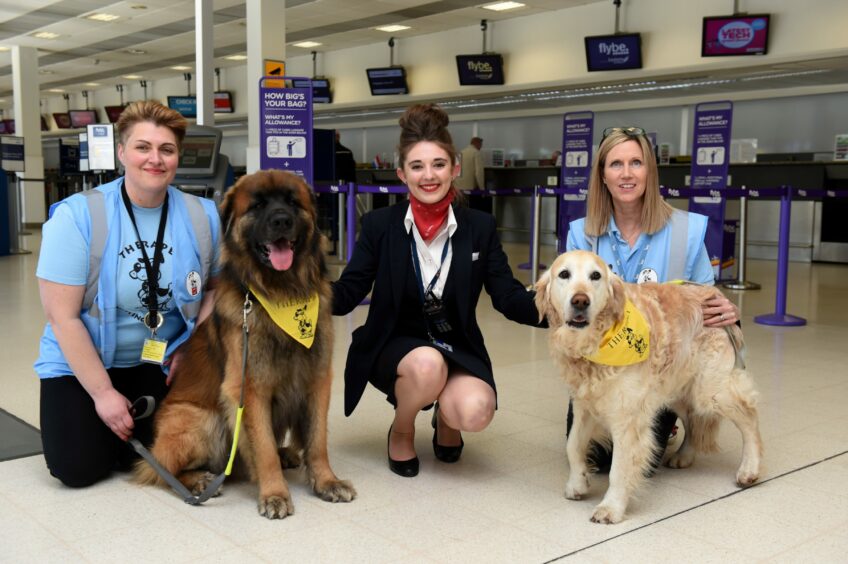 Aberdeen airport first therapy dog team, brought to you by Therapet and Aberdeen International Airport for anxious flyers. Picture of (L-R) Kelly Anne Wiseman with Vinnie, Montana Wright (Swissport staff), Dianne Wood with Breagh. Picture by KENNY ELRICK 29/04/2019
