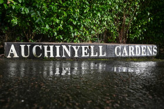 Auchinyell Gardens, Aberdeen.