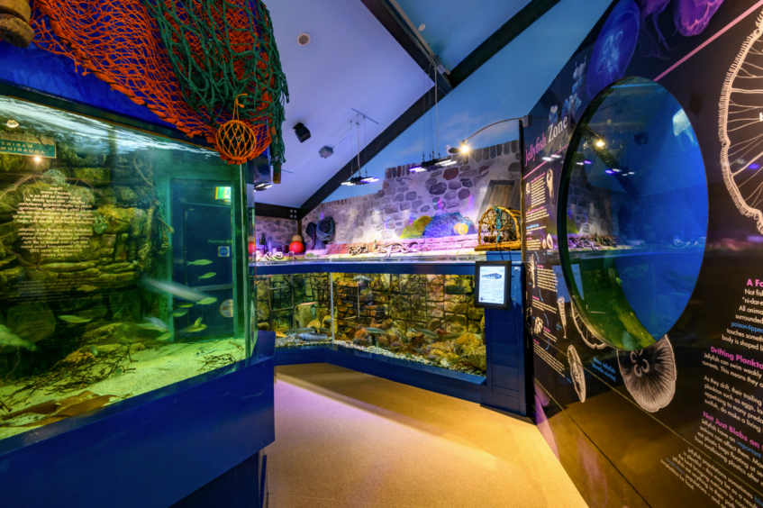 MacDuff Aquarium is part of Make a Day of It campaign, to promote Aberdeenshire