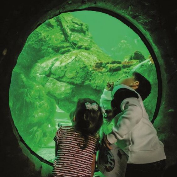 Children at the aquarium - part of "Make a Day of It" campaign
