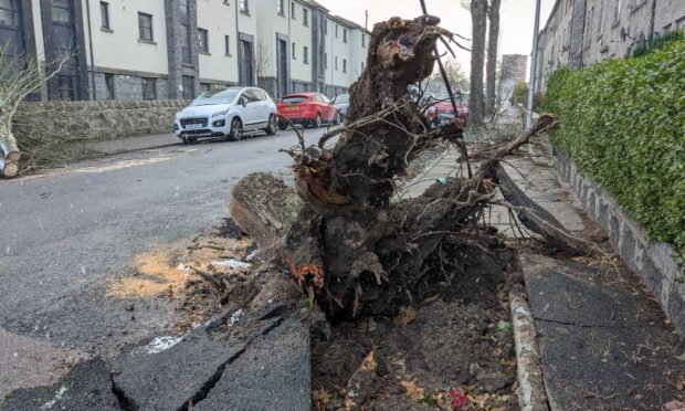 Damage sustained from Storm Arwen.