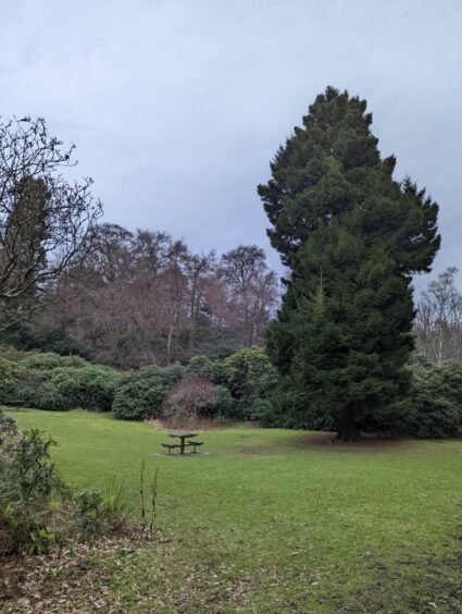 Woodland walks around Balbirnie House.