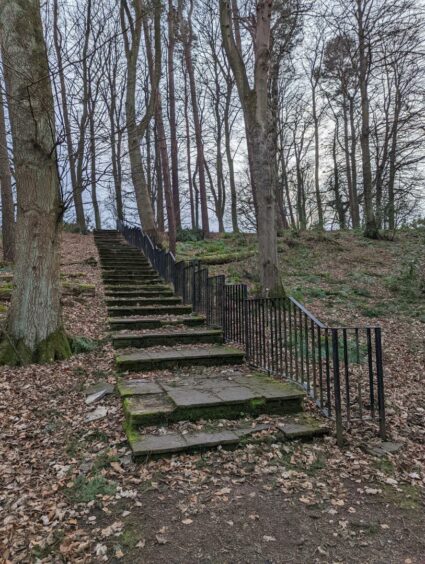 Woodland walks around Balbirnie House.